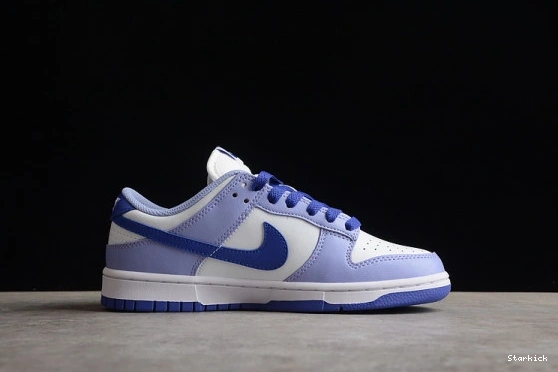(GS) Dunk Blueberry Low Nike DZ4456-100 1123
